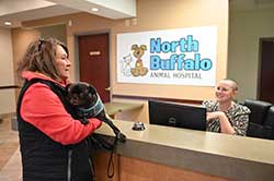 North Buffalo Animal Hospital - Hospital Policies