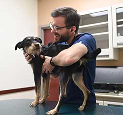 North Buffalo Animal Hospital - Senior Pet Care