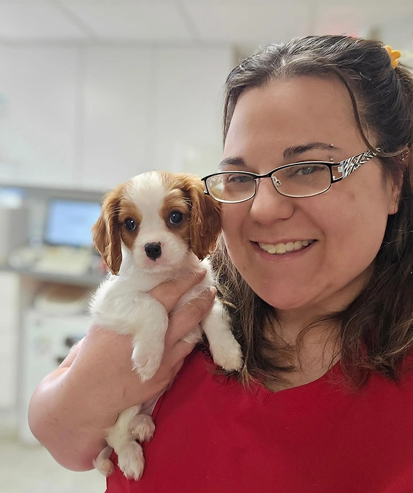 Canine Wellness Care Recommendations