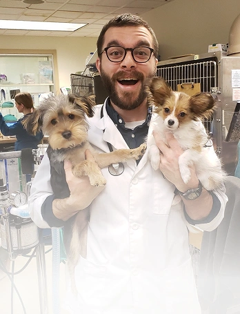 Dr. David Gurzak
