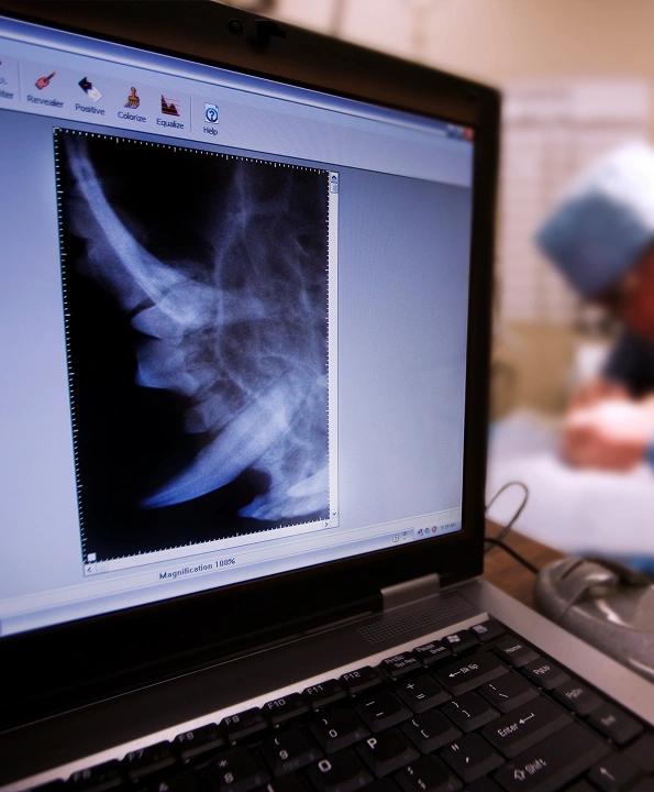 Dental Radiography