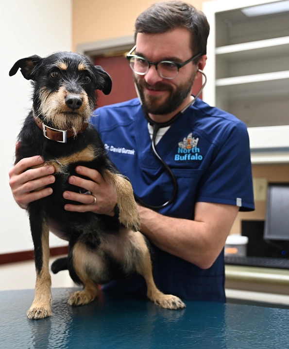 Emergency Pet Care