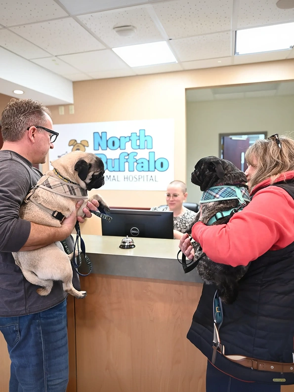 North Buffalo Animal Hospital Policies