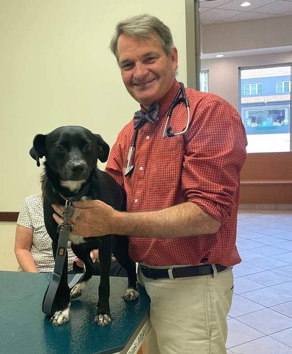 Pet Pain Management