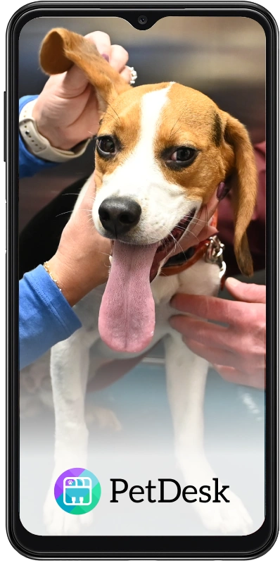 Our PetDesk App