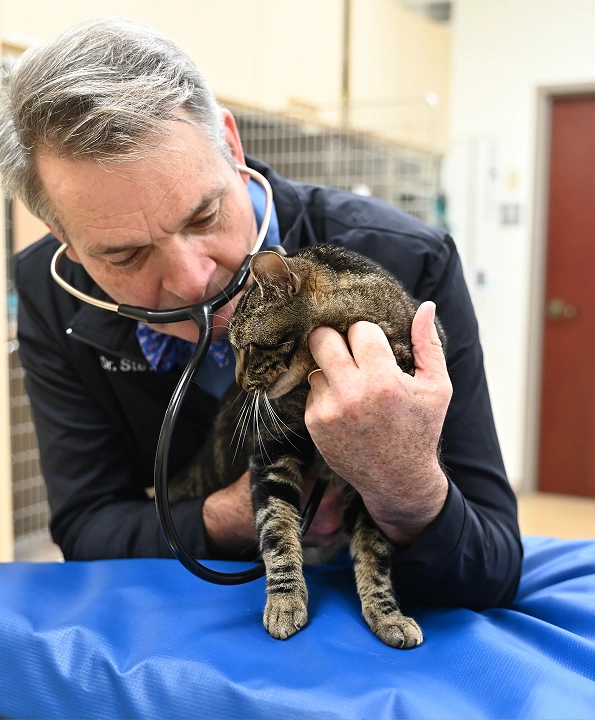 Preventative Pet Care