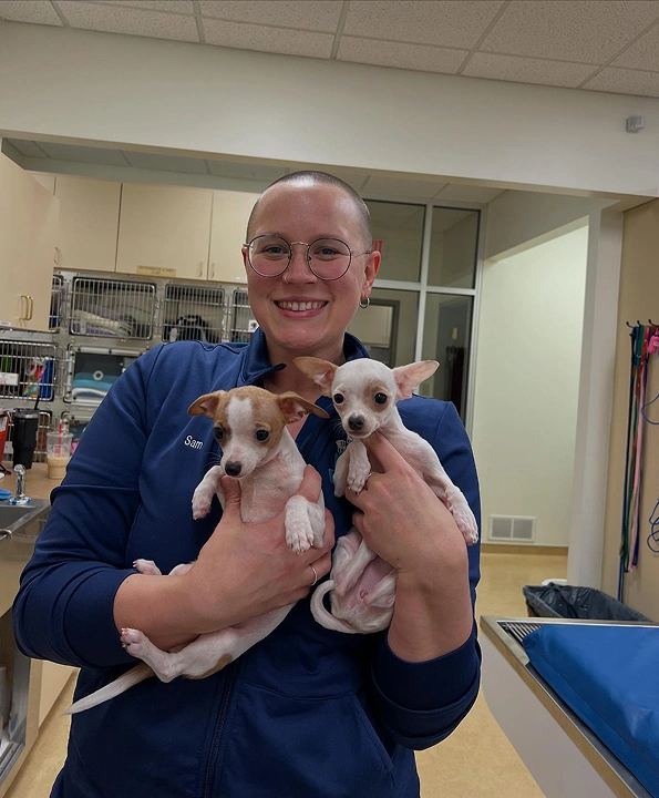 Puppy & Kitten Care
