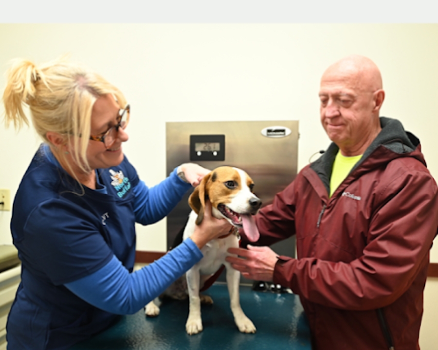 the-importance-of-regular-vet-visits-in-lifelong-pet-health
